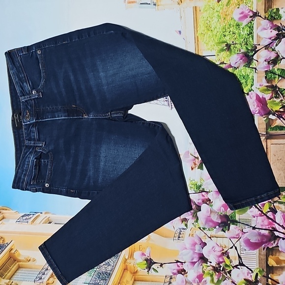 Banana Republic Curvy‎ Skinny Blue Jeans Size 29/8 Petite - Picture 1 of 6